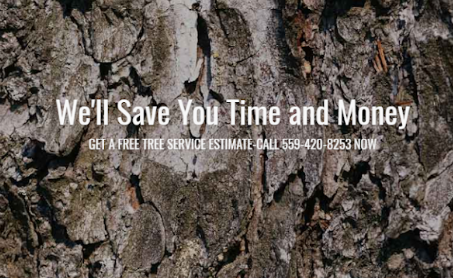 Imagine Tree Service, Inc. in Fresno, CA