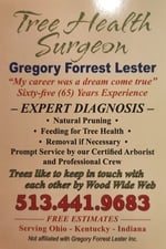 Tree Health Surgeon in Mason, OH