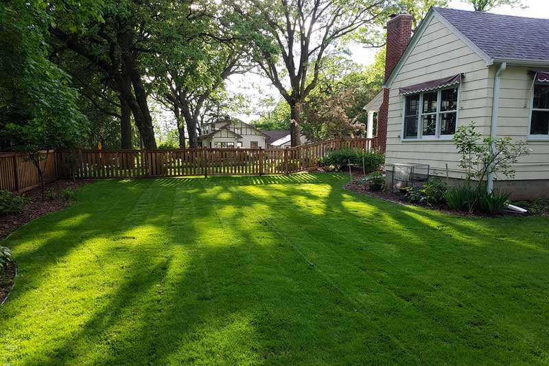 Porterville lawn care in Porterville, CA