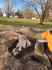 New View Stump Grinding, LLC in Cortland, OH