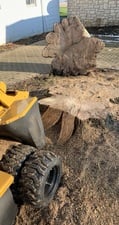 Assure Forestry LLC in Springfield, OH