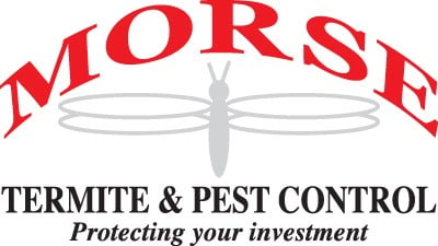 Morse Termite & Pest Control in Clovis, CA