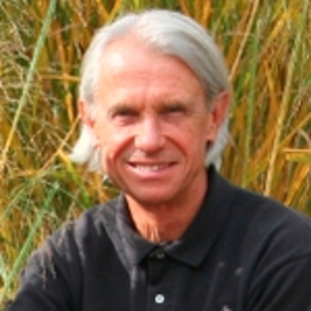 Gl Brown - Realtor in Grand Rapids, MI