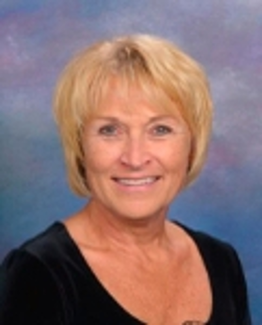 Diana Neameyer - Realtor in Eagan, MN