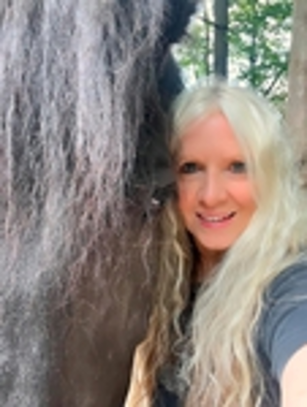 Wendy Johnson - Realtor