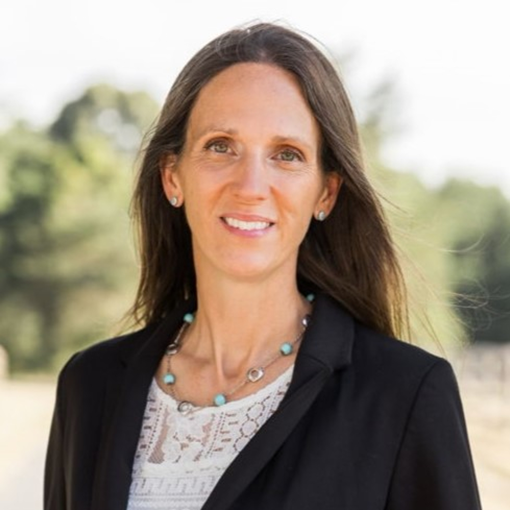 April Massie - Realtor in Midlothian, VA