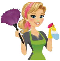 Iwona Cleaning in Chicago, IL