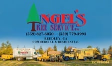 Angels Tree Service Inc. in Reedley, CA