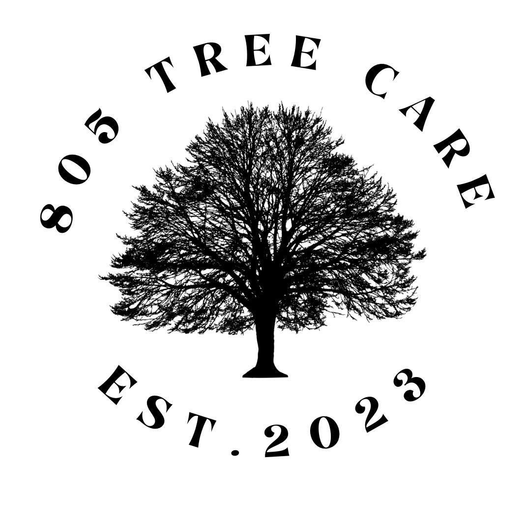 805 Tree Care in Santa Barbara, CA