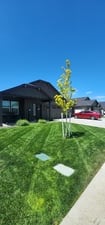 Allende's Lawn Care Maintenance & Landscaping in Pasco, WA