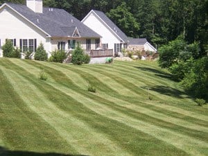 Moores Lawn Care in Beaverdam, VA