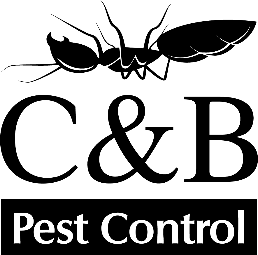C & B Pest Control in San Antonio, TX