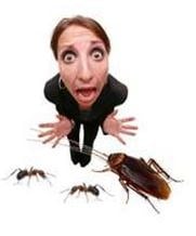 Abrock Pest Management in Carrollton, TX