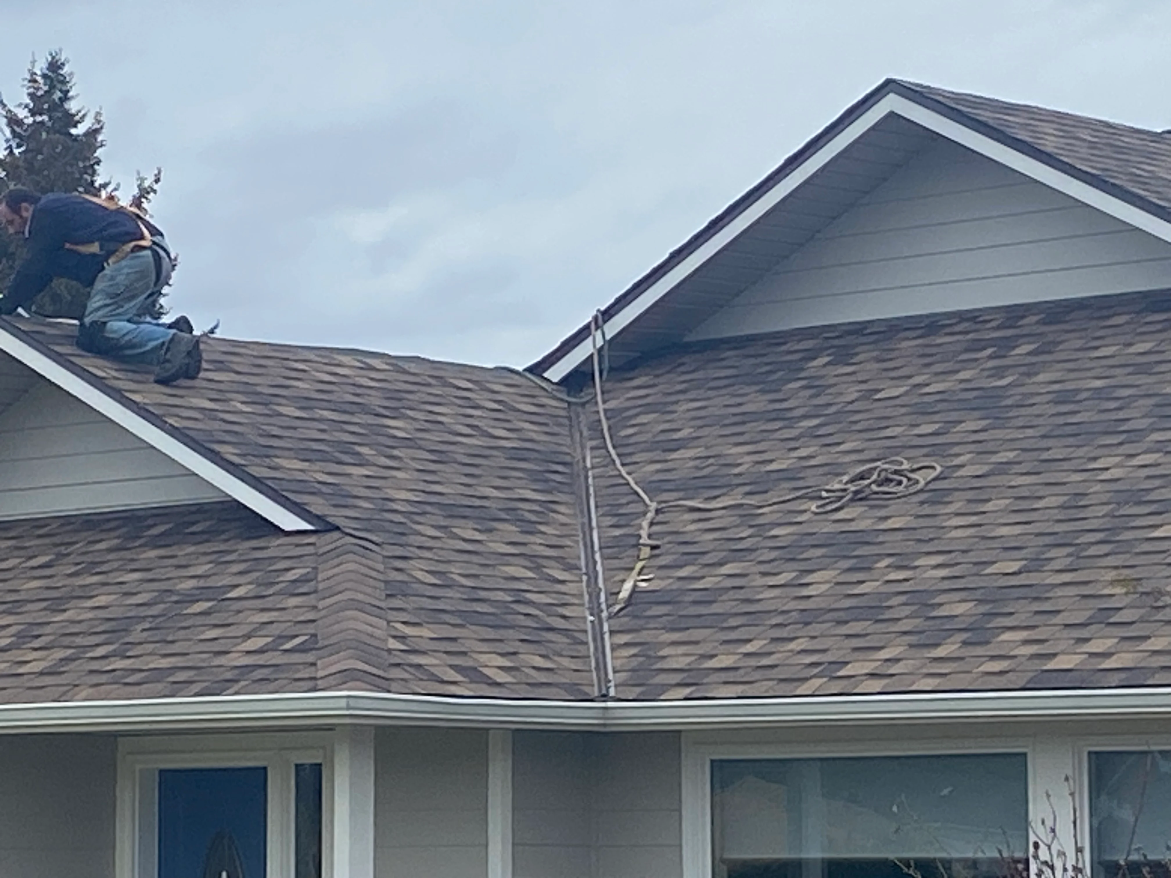Mr. Roof in Seattle, WA