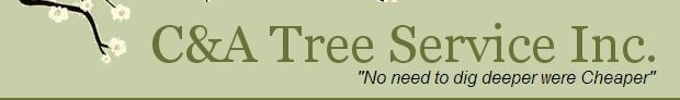 C&A Tree Service in Chesapeake, OH