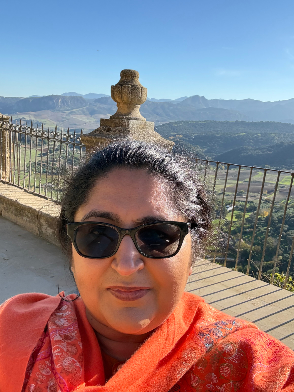 Molly Dhir - Realtor in Woodstock, GA