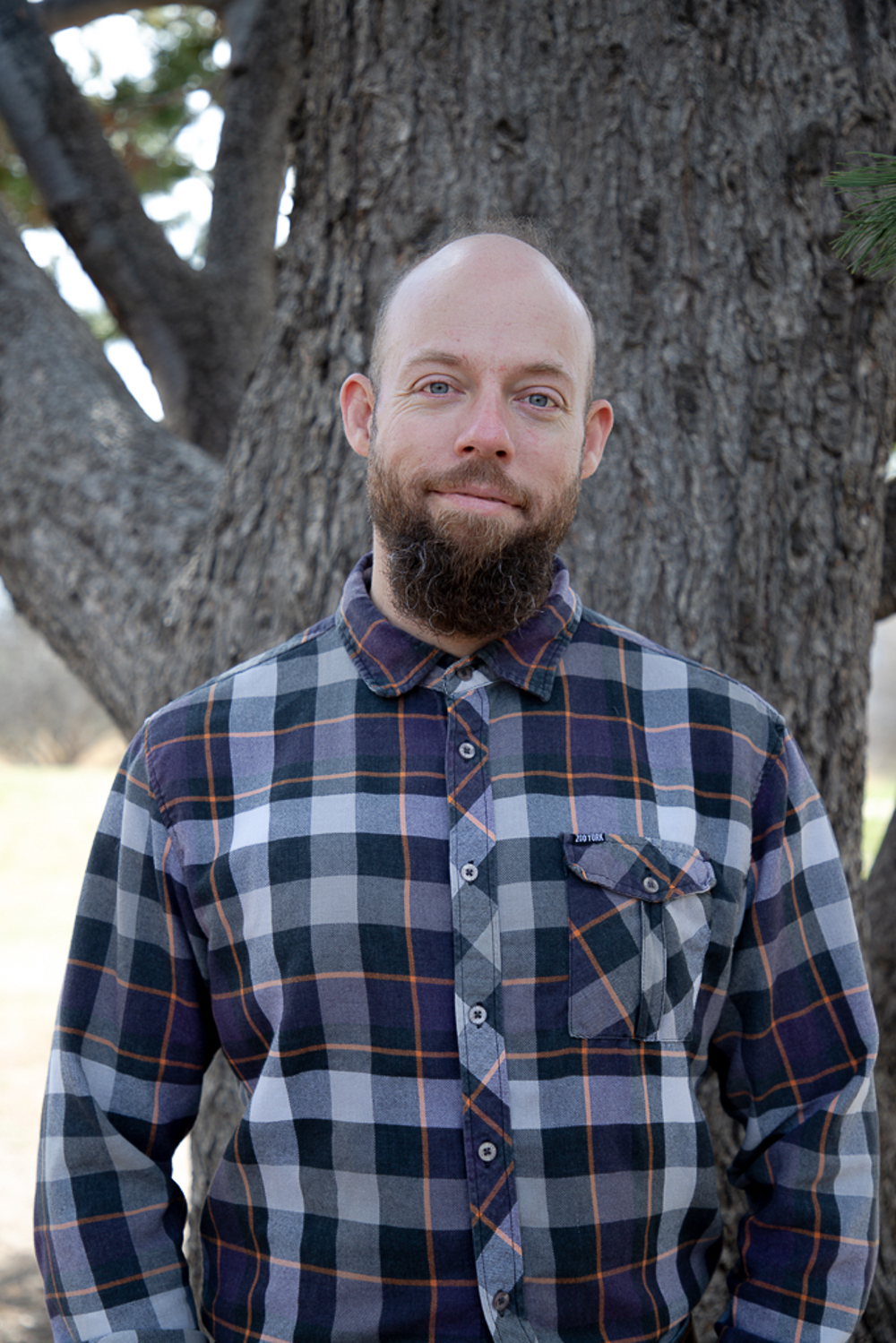 Timothy Meehan - Realtor in Arvada, CO