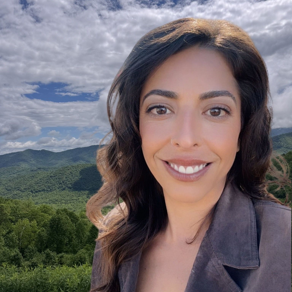 Sheila Ostroff - Realtor in Asheville, NC