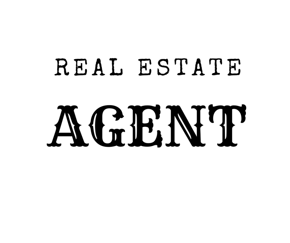 Amber Cohen - Realtor in Greenville, SC