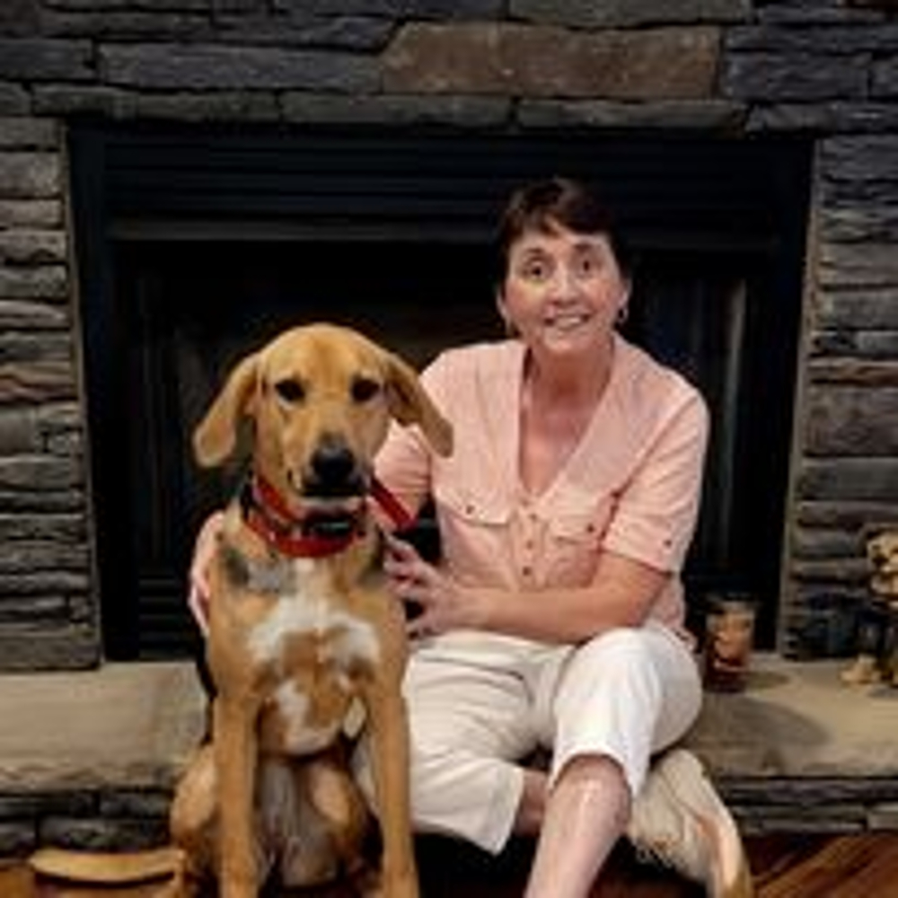 Jane Boyer - Realtor in Greenville, SC