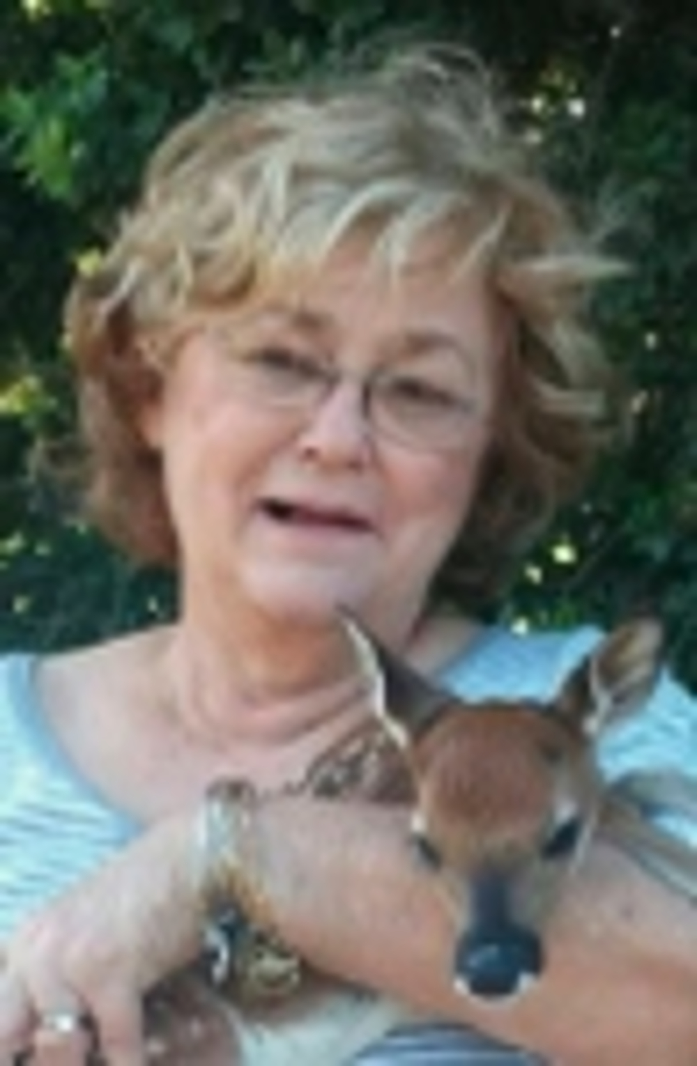 Connie Rogers - Realtor in Georgetown, TX