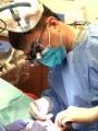 Jung Ho Lee - Dentist in Olympia, WA
