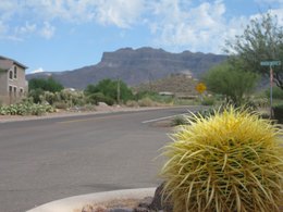 Carol M Kingman - Agent in Gold Canyon, AZ