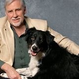 William M Mays - Real Estate Consultant in Plano, TX