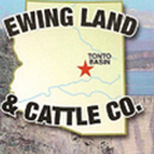 Linda G. Ewing - Real Estate Agent in Tonto Basin, AZ