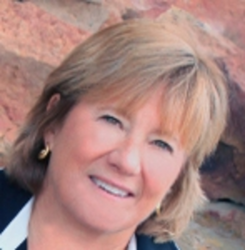 Sue Plvan - Realtor in Durango, CO
