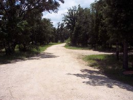 Sandy Trumbo - Agent in Cedar Creek, TX
