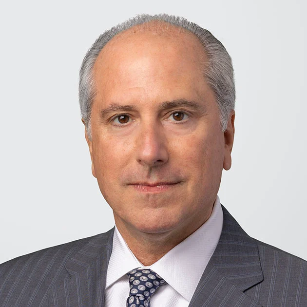 Mark S. Melodia - Partner in New York, NY