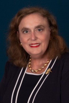 Leslie Kathleen Reicin Stein - Managing Partner in Tampa, FL